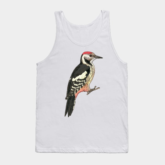 Middle spotted Woodpecker Tank Top by bywhacky